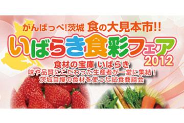���΂炫�H�ʃt�F�A2012�@�`�t���[�c���x�W�^�u���`