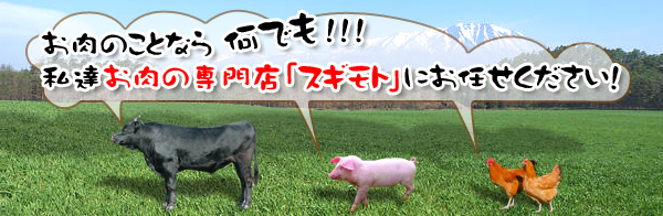 �Ɩ��p�����̉����@���{�H��.com�i���{�H���Y�Ɗ�����Ёj