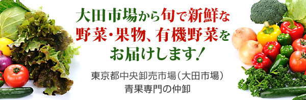 �ʕ������@��c�s��@�i���j�厡�@�l�b�gde�s��