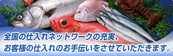 �V�N�ȑN���A�f�ނ����͂����܂��I�i�����������Y������Ёj